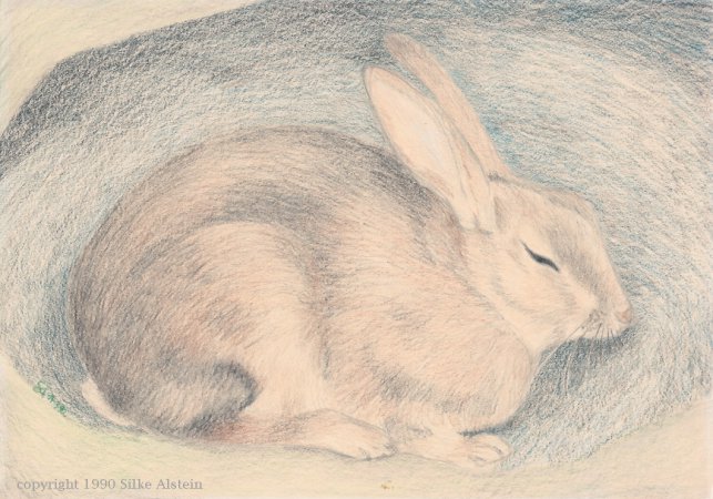Grafik: Kaninchen in seiner Höhle