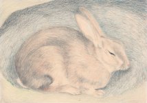 Grafik: Kaninchen in seiner Höhle