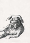 Grafik: Hundedame: Lilli