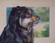 Grafik: Hundeportrait Ronja