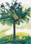 Grafik: Baum im Gegenlicht - farbig